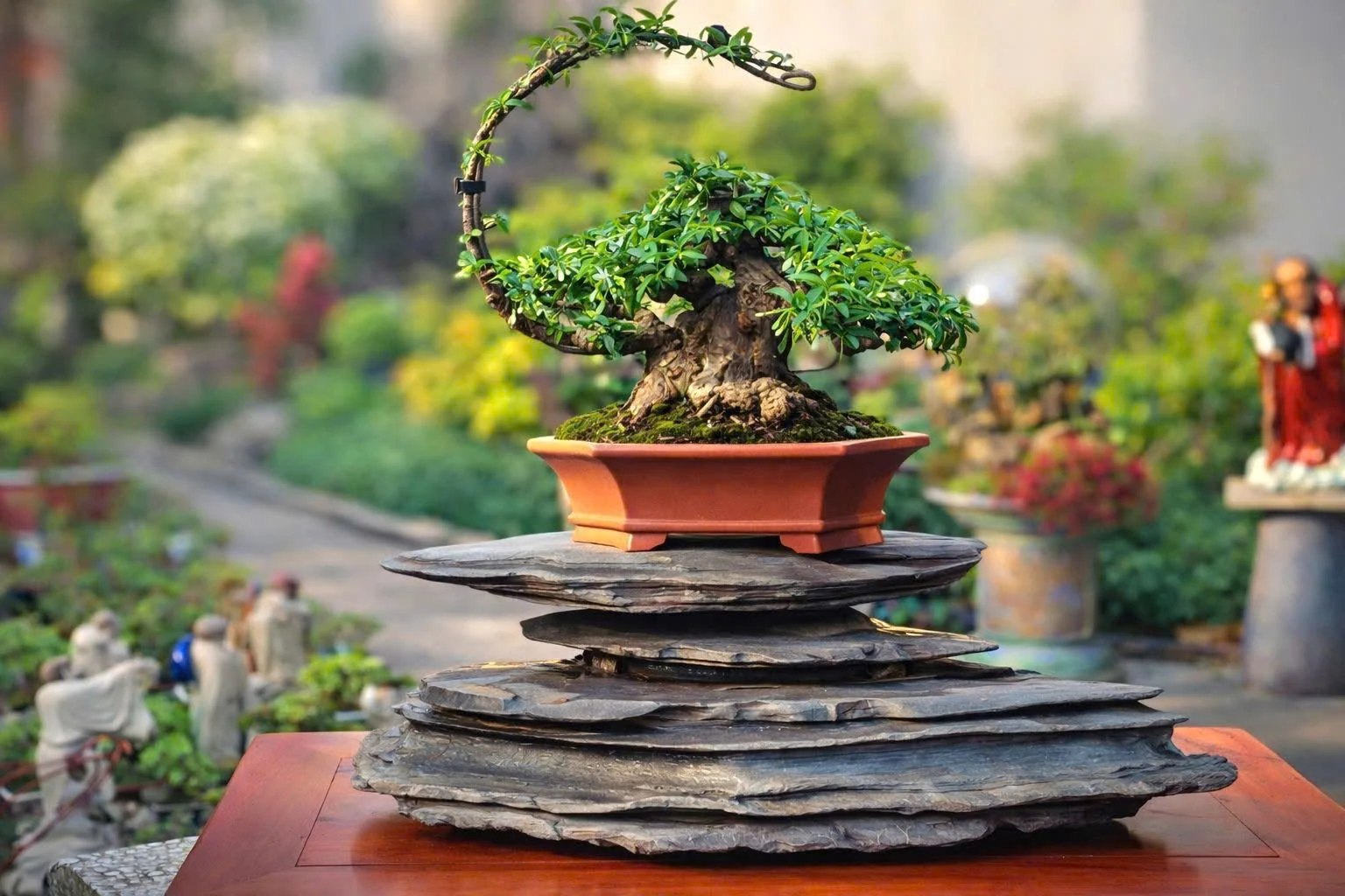 Ảnh bìa album Bonsai Tiểu